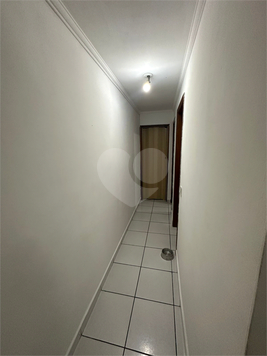 Aluguel Apartamento Guarulhos Vila Galvão 1