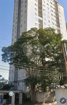 Aluguel Apartamento Diadema Centro 1