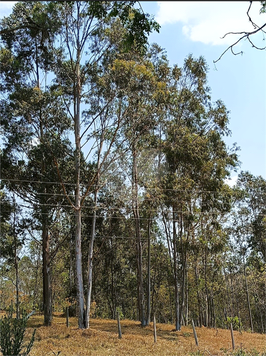 Venda Terreno Atibaia Cachoeira 1