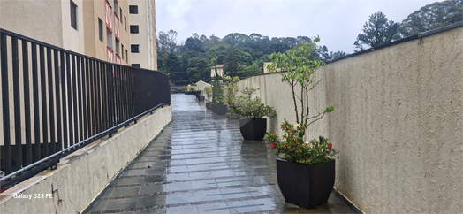 Aluguel Apartamento São Paulo Parque Mandaqui 1