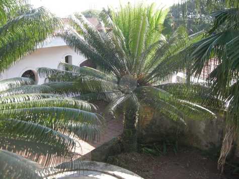 Venda Casa térrea São Paulo City Boaçava 1