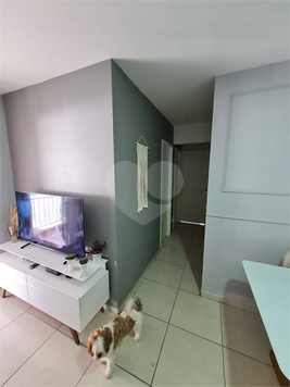 Venda Apartamento São Paulo Vila Siqueira (zona Norte) 1