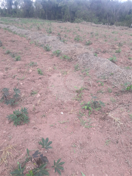 Venda Área de Terra Jundiaí Loteamento Pinheirinho 1