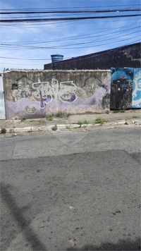 Venda Terreno São Paulo Vila Celeste 1