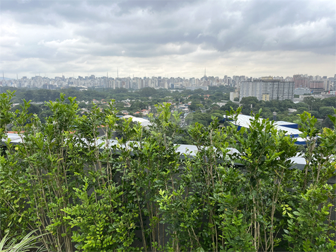 Aluguel Apartamento São Paulo Indianópolis 1