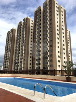 Aluguel Apartamento Sorocaba Jardim Santa Fé 1