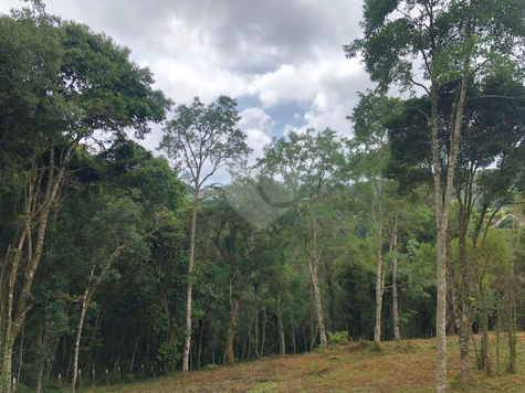 Venda Terreno Campos Do Jordão Vila Inglesa 1