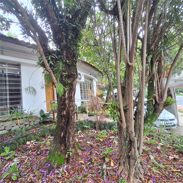 Aluguel Casa São Paulo Pinheiros 1