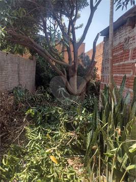 Venda Terreno São Carlos Jardim Pacaembu 1