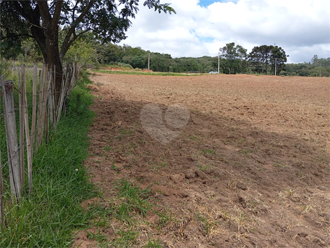 Venda Terreno São Roque Centro (canguera) 1