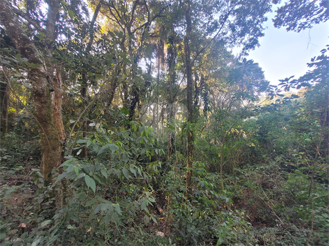 Venda Terreno Mairiporã Apolinário 1