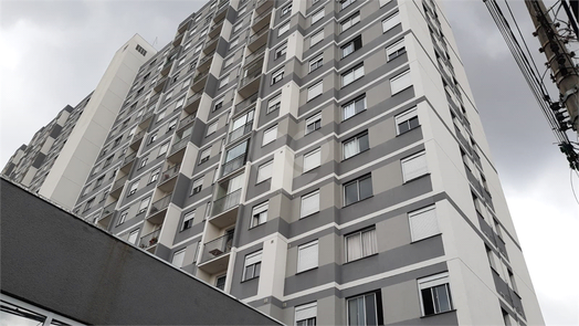 Vivaz Lapa
