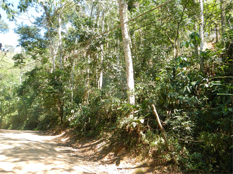 Venda Terreno Ilhabela Camarão 1