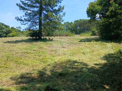 Venda Sítio Agudos Área Rural De Agudos 1