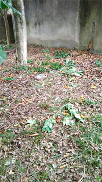 Venda Terreno Porto Alegre Jardim Itu 1