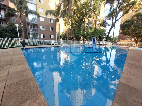 Condomínio A chácara