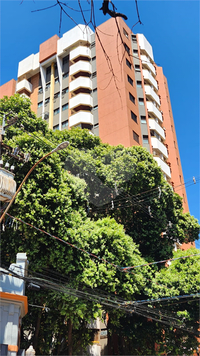 Venda Apartamento Araraquara Centro 1