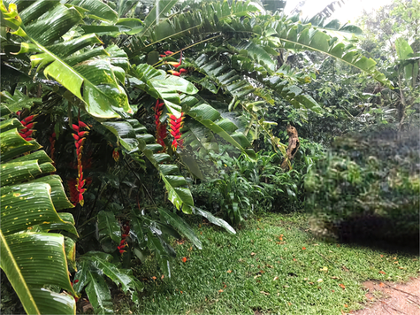 Venda Terreno Mairiporã Roseira 1