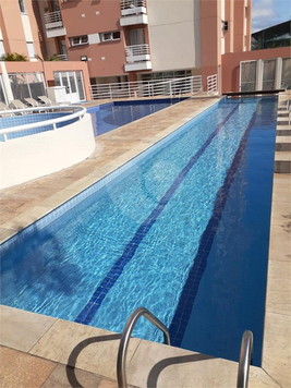 Aluguel Apartamento Santo André Casa Branca 1