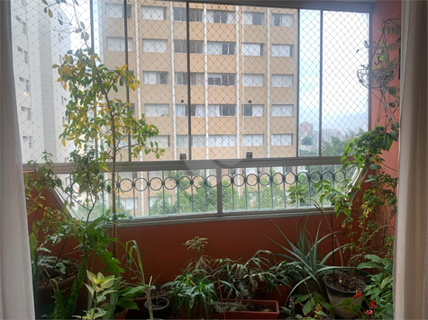 Aluguel Apartamento São Paulo Vila Ipojuca 1
