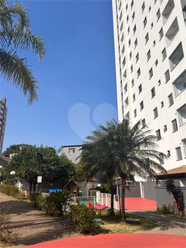 SPAZIO FELICITÁ IMIRIM