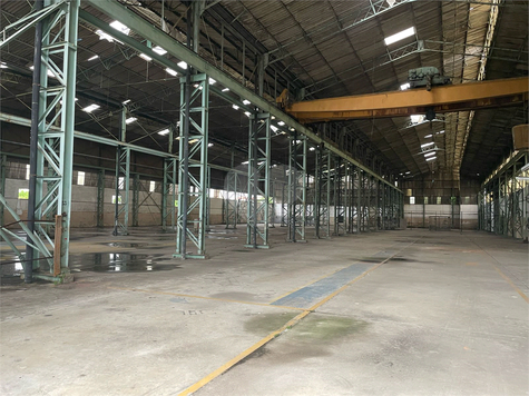 Aluguel Terreno São Paulo Cangaíba 1