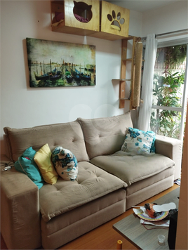 Venda Apartamento São Paulo Cambuci 1