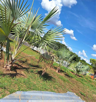 Venda Terreno Limeira Bairro Dos Pires 1