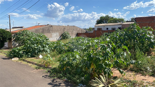 Venda Terreno Bauru Parque Santa Edwiges 1