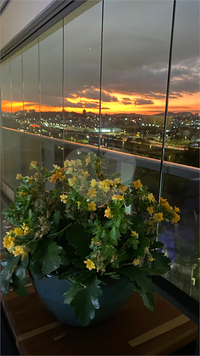 Condomínio Jardins De Bordeaux