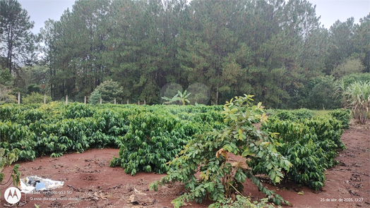 Venda Chácara Pilar Do Sul Campo Grande 1