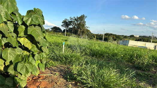 Venda Loteamento Paulínia Boa Esperança 1