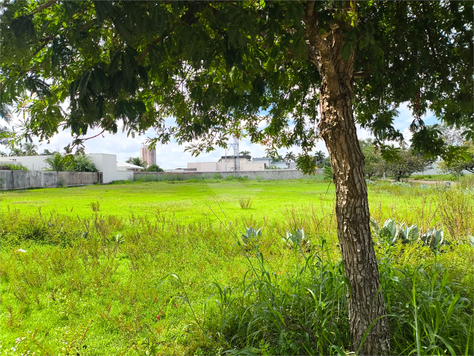 Venda Terreno Sinop Residencial Bella Suíça 1