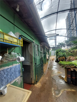Venda Terreno São Paulo Chácara Califórnia 1