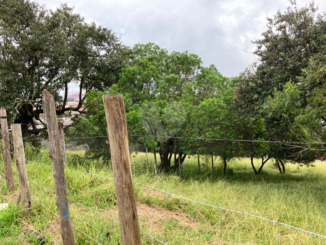 Venda Terreno Cotia Parque Rincão 1