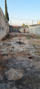 Venda Terreno Ribeirão Preto Vila Monte Alegre 1