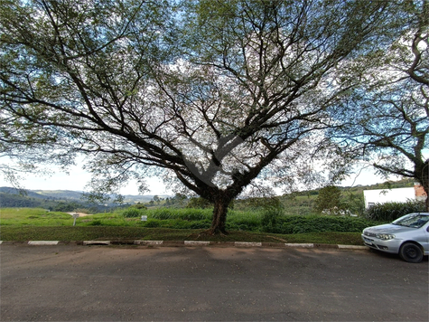 Venda Terreno São Roque Taipas De Pedras (mailasqui) 1