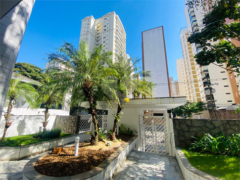 Aluguel Apartamento São Paulo Moema 1