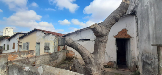 Venda Terreno São Paulo Vila Nova Mazzei 1