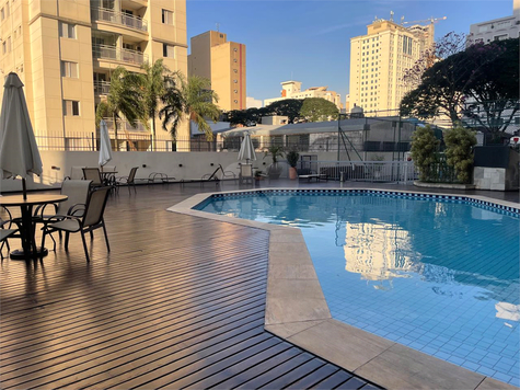 Aluguel Apartamento São Paulo Pinheiros 1