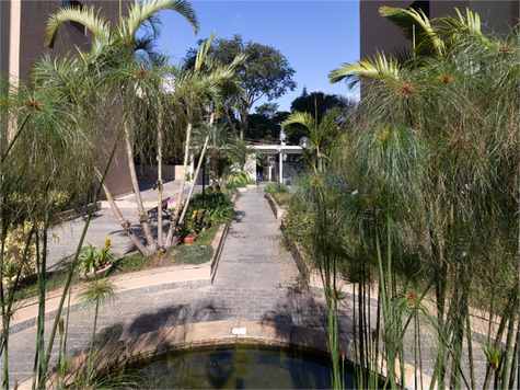 Venda Apartamento São Paulo Vila Cláudia 1