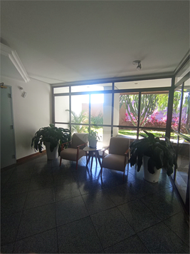 Aluguel Apartamento São Paulo Cambuci 1