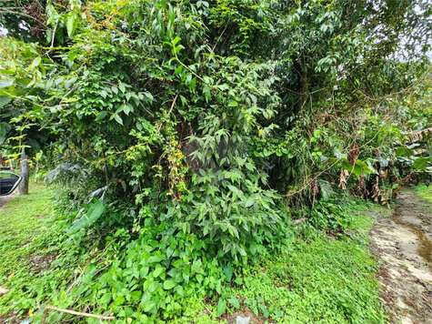 Venda Terreno Bertioga Riviera 1
