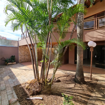 Aluguel Casa Bauru Vila Aeroporto Bauru 1