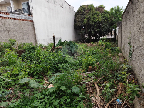 Venda Terreno São Paulo Vila Constança 1