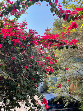 Venda Casa de vila São Paulo Jardim Paulistano 1