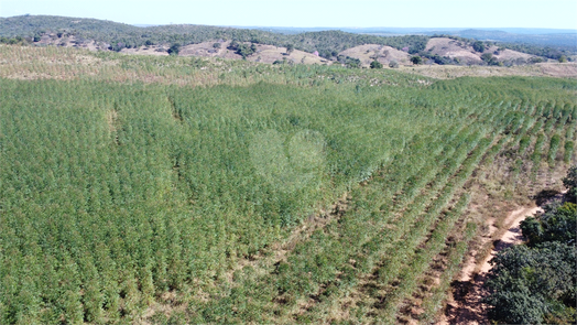 Venda Fazenda Curvelo Centro 1
