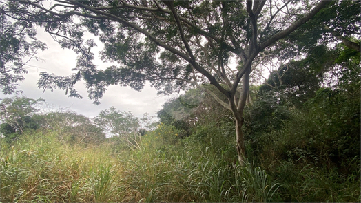 Venda Terreno Armação Dos Búzios Ferradura 1