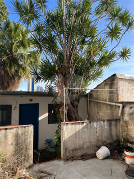 Venda Terreno São Paulo Vila Pompéia 1