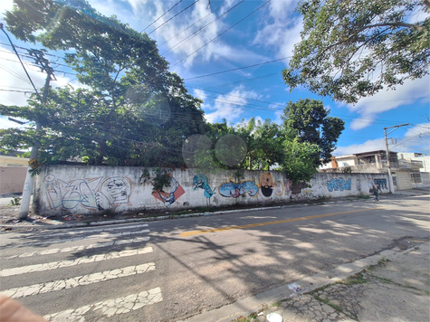 Venda Terreno São Paulo Jardim Das Oliveiras 1